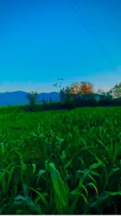 clicks in hometown