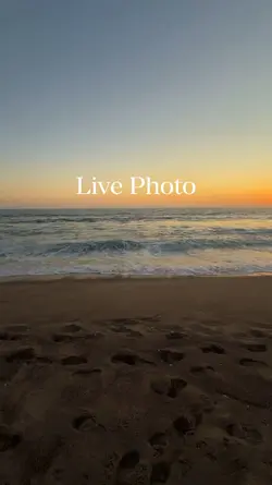 LIVE PHOTO 