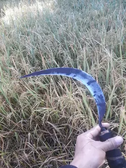 Hindi  nakapagtapos 