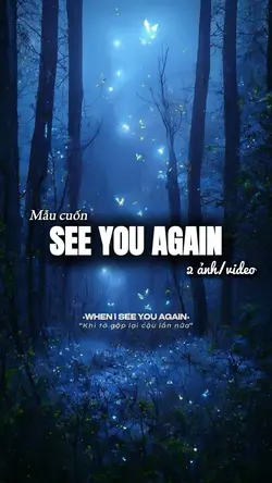 See you again 