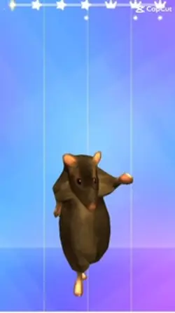 rat danceeeeeee
