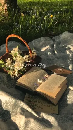 Picnic Story