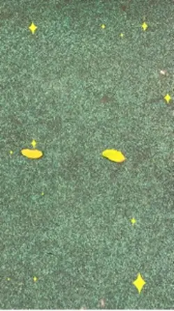Parquinho