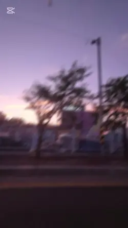 봄바레 봄 봄