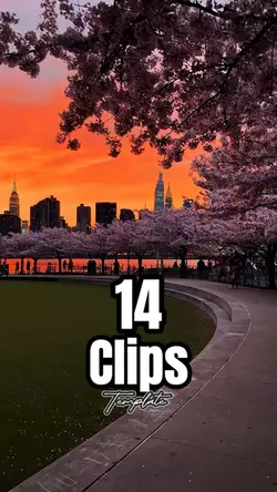 14 Clips Template 