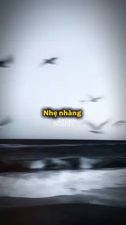 Nhẹ nhàng nhiều ảnh 