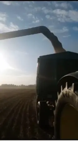 farmlive->>>