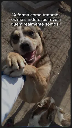 CACHORRO