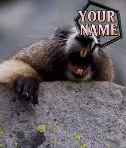 TEMPLATE TUPAI 
