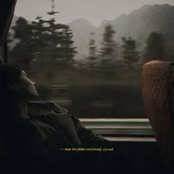 someone to stay