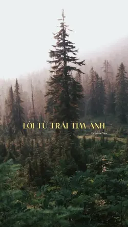 LỜI HỨA TRÁI TIM ANH