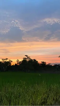 kau buat ku sekecewa