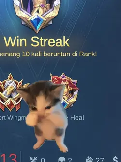 mentahan kucing