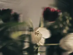 K AI HIỂU ĐƯỢC EM