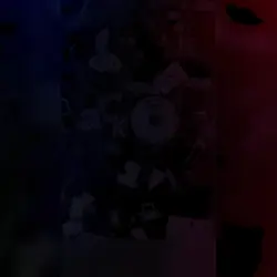ㄱ관상용일지두요...??
