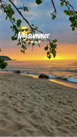 My summer