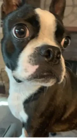 Odin!!!