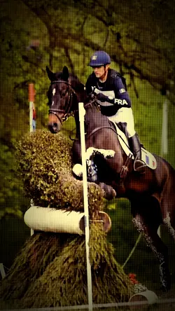 MY DREAMMM