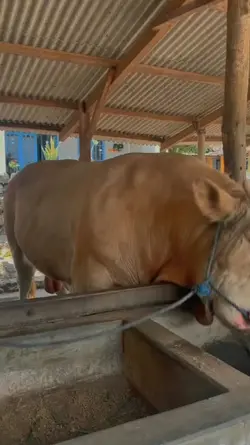 bismillah