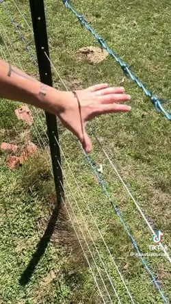 Electric Fence
