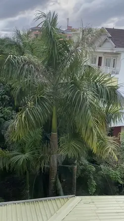 ជីវិតយើងកើតមកមានតែ ម្ដងទេ 