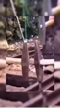 Mk Bhai yo yo song 