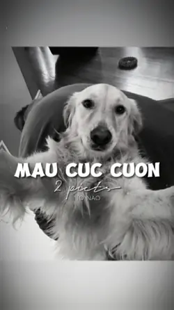 BEAT 2 ẢNH CỰC CUỐN 