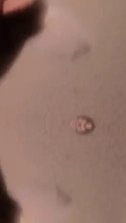 SNAPS TUBE