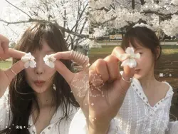 2 pics tone | 4:3