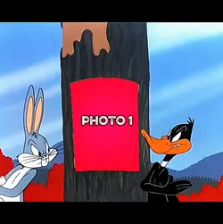 Usa New Template