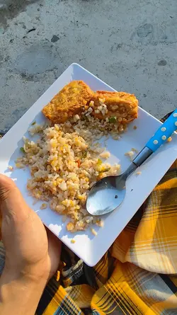 halo matahari Squidw