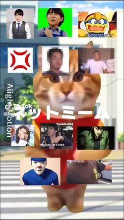 ネットミーム