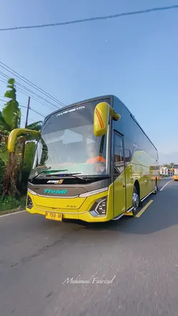 Stut Bus
