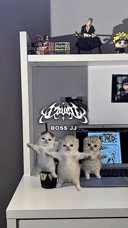 DANCE CAT