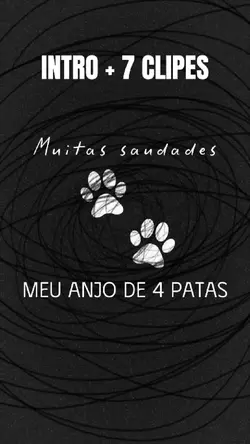 Anjo de 4 patas