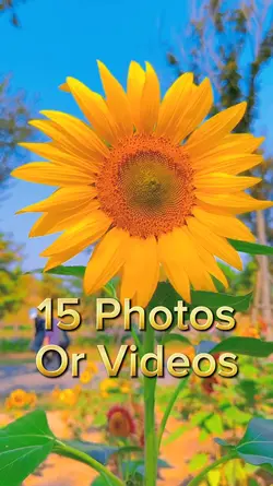 15 Photo Slides