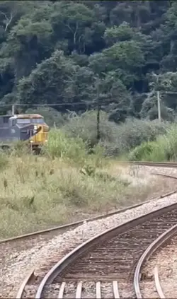 vídeo com frases