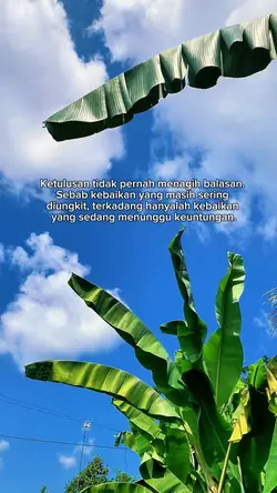 Kata kata hari ini