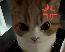 IWBYLIWBYF