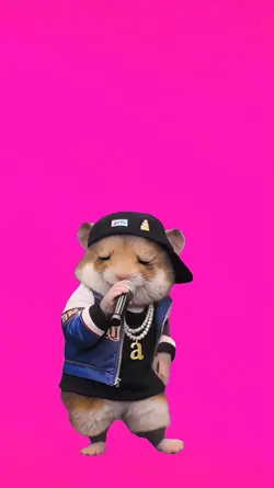 Rapper.