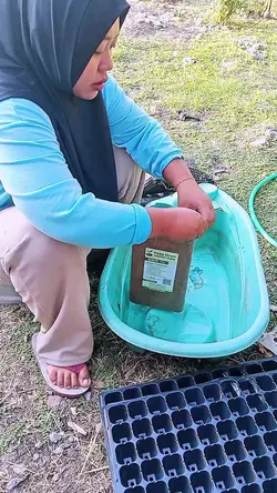 berkebun