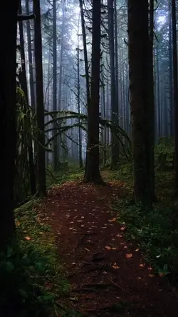 6 video cinematic