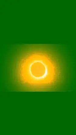 portal eff