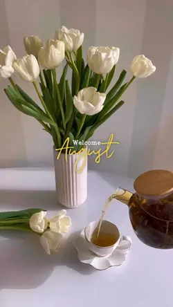 Welcome august