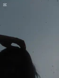 তুমি হয় তো বা... 
