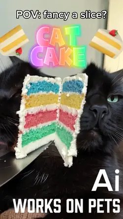 AI CAT CAKE SLICE 