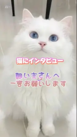猫にインタビュー