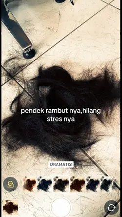 bondol 