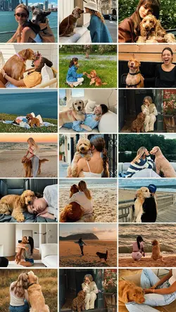 Love Your Pet Day