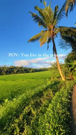 Provincial life
